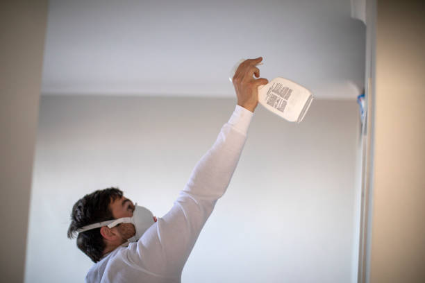 Best Attic Mold Remediation in Medina, NY